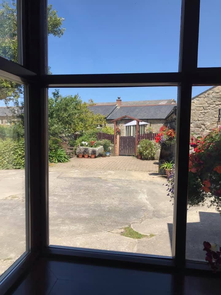 After sealed unit replacement - clear window glass